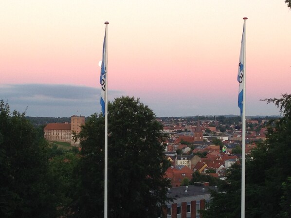 Two flagpoles with flags, a townscape with buildings, and a church tower in the background. - Danhostel Kolding (Kolding)
