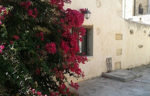 Property grounds - Petra & Elia (Chania)