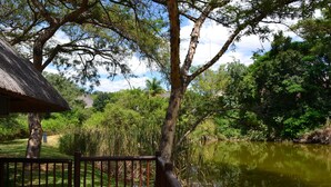 A wooden deck with a railing overlooking a pond surrounded by trees and greenery. - Kruger Park Lodge - Golf Safari SA (Mbombela)