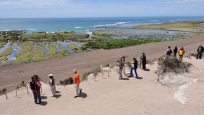 A coastal area with a sandy beach and rocky shoreline. - La Tosca Hostel (Puerto Madryn)