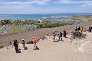 Ecotours - La Tosca Hostel (Puerto Madryn)