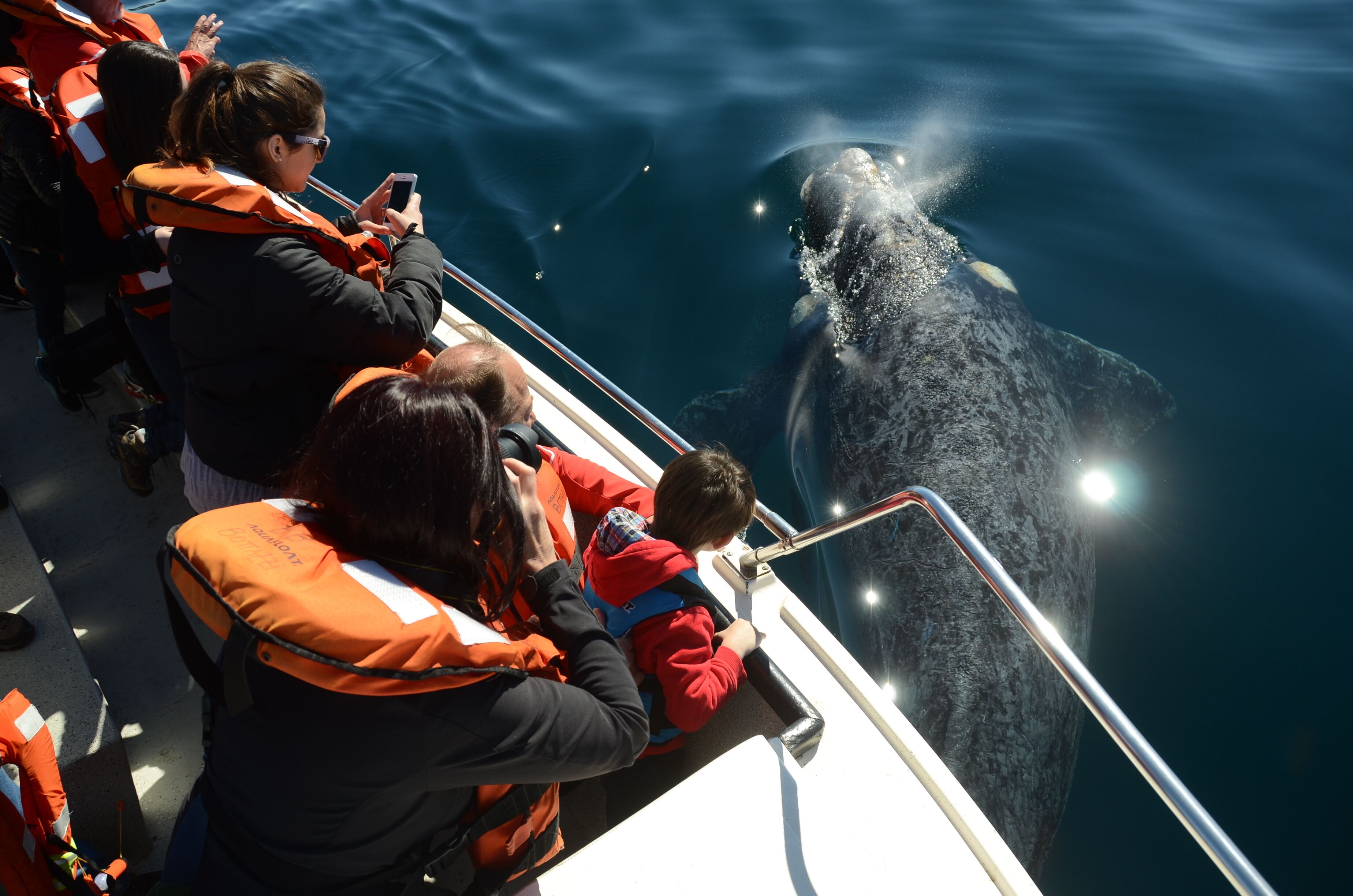 Photo - La Tosca Hostel