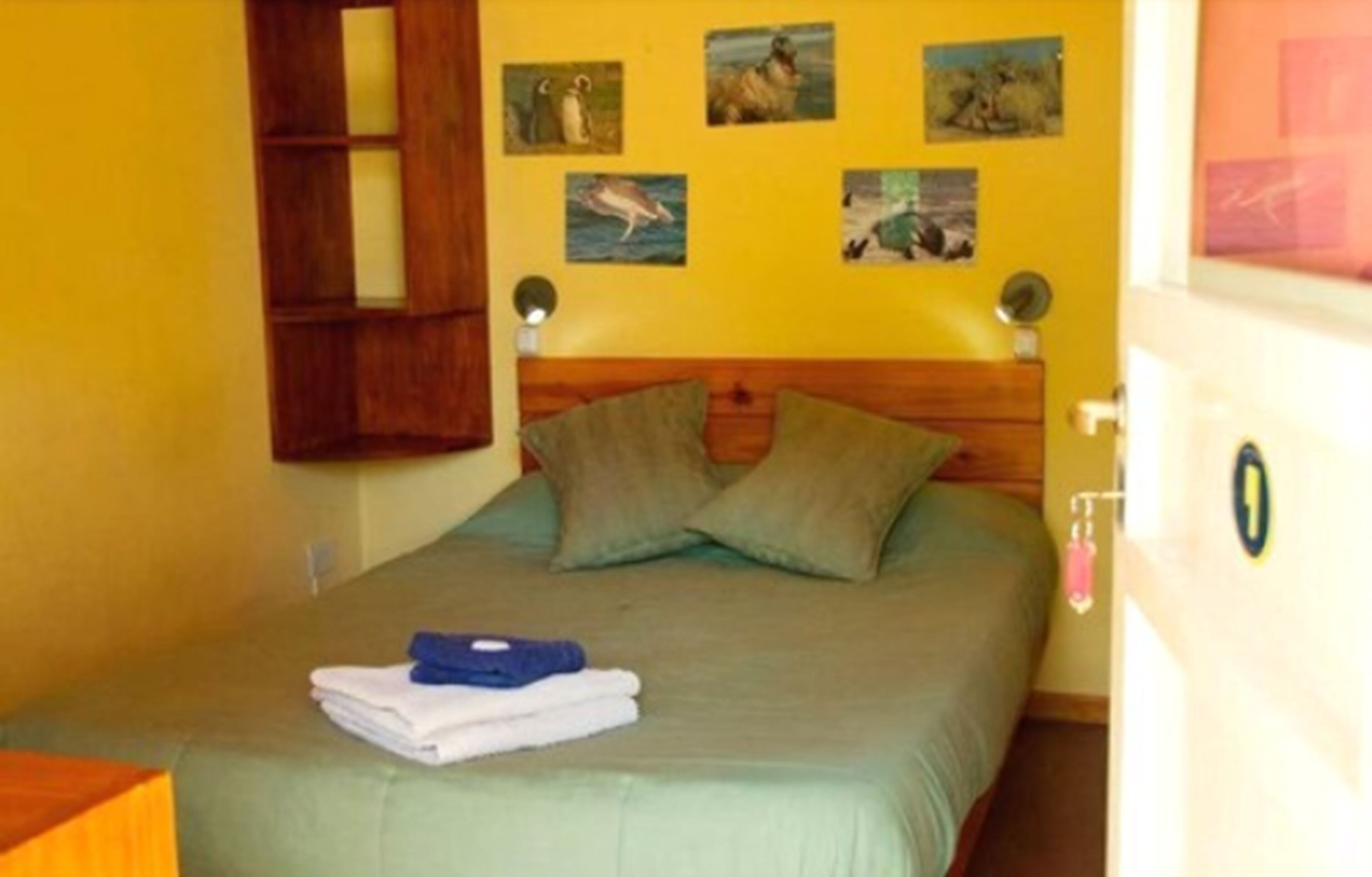 Ein Einzelbett mit Holz-Kopfteil, einer grünen Bettdecke und zwei Kissen. An den Wänden hängen Bilder mit verschiedenen Tieren.