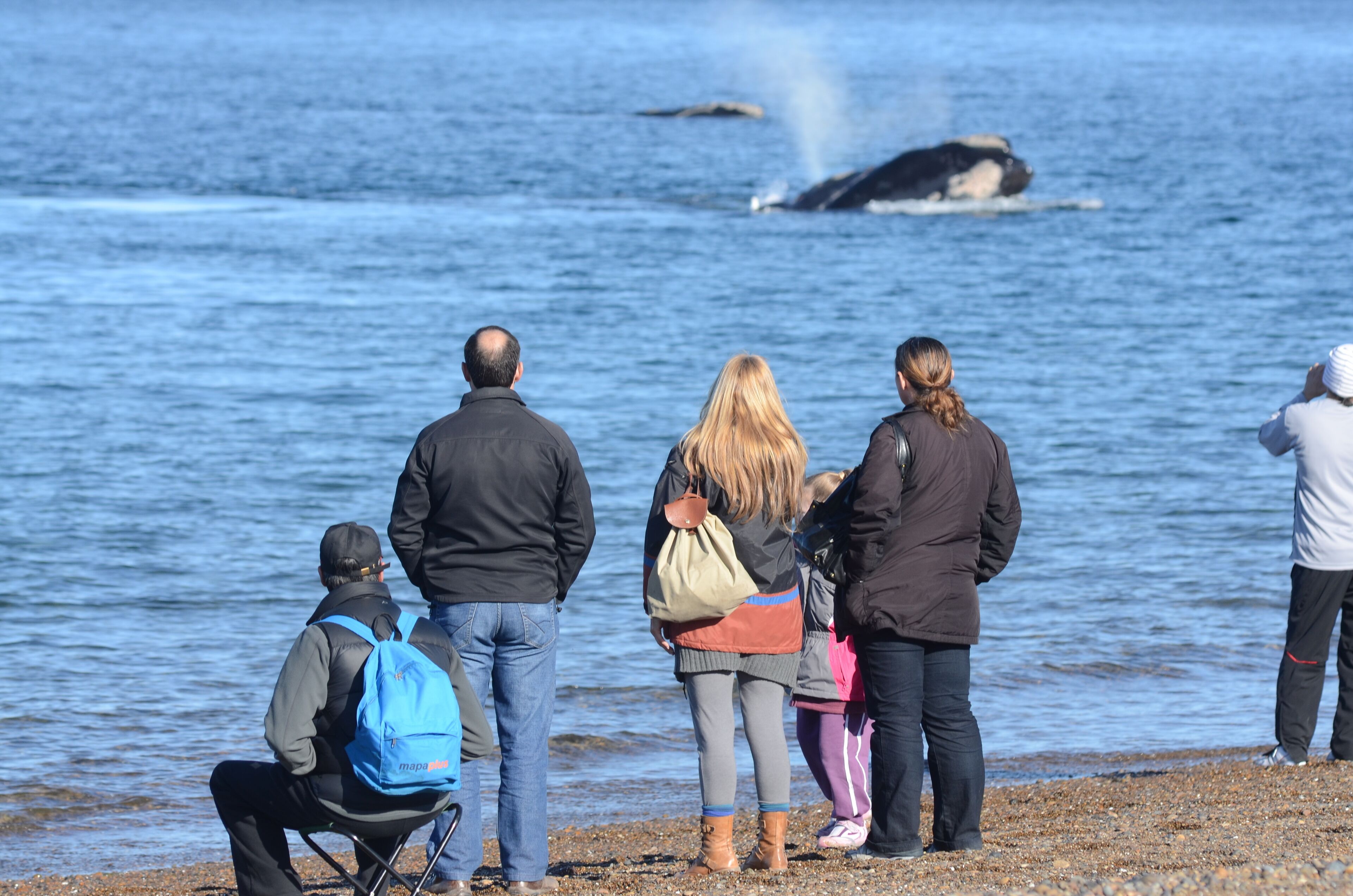 Photo - La Tosca Hostel