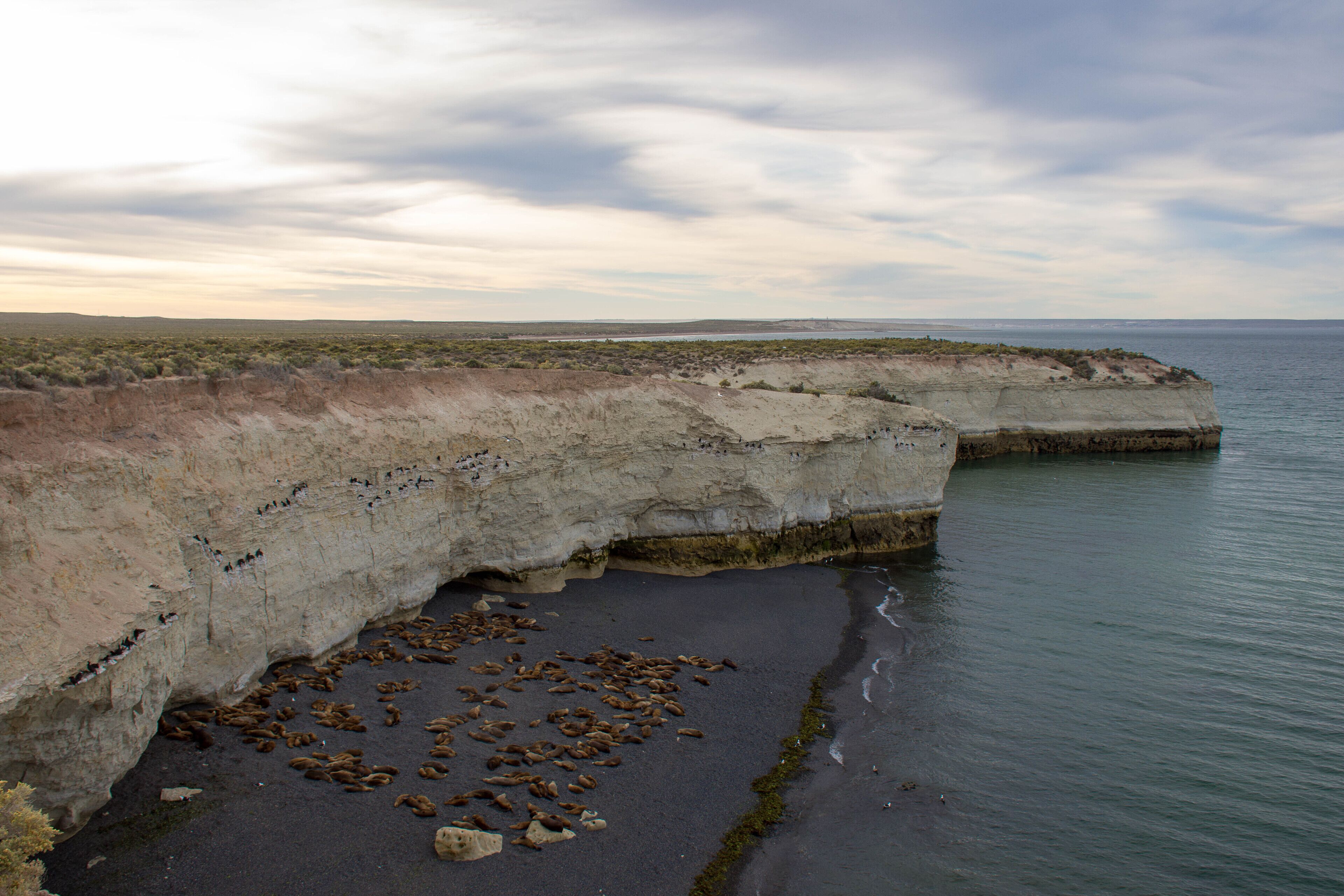 Photo - La Tosca Hostel