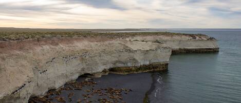 A coastal landscape with a cliff and beach.