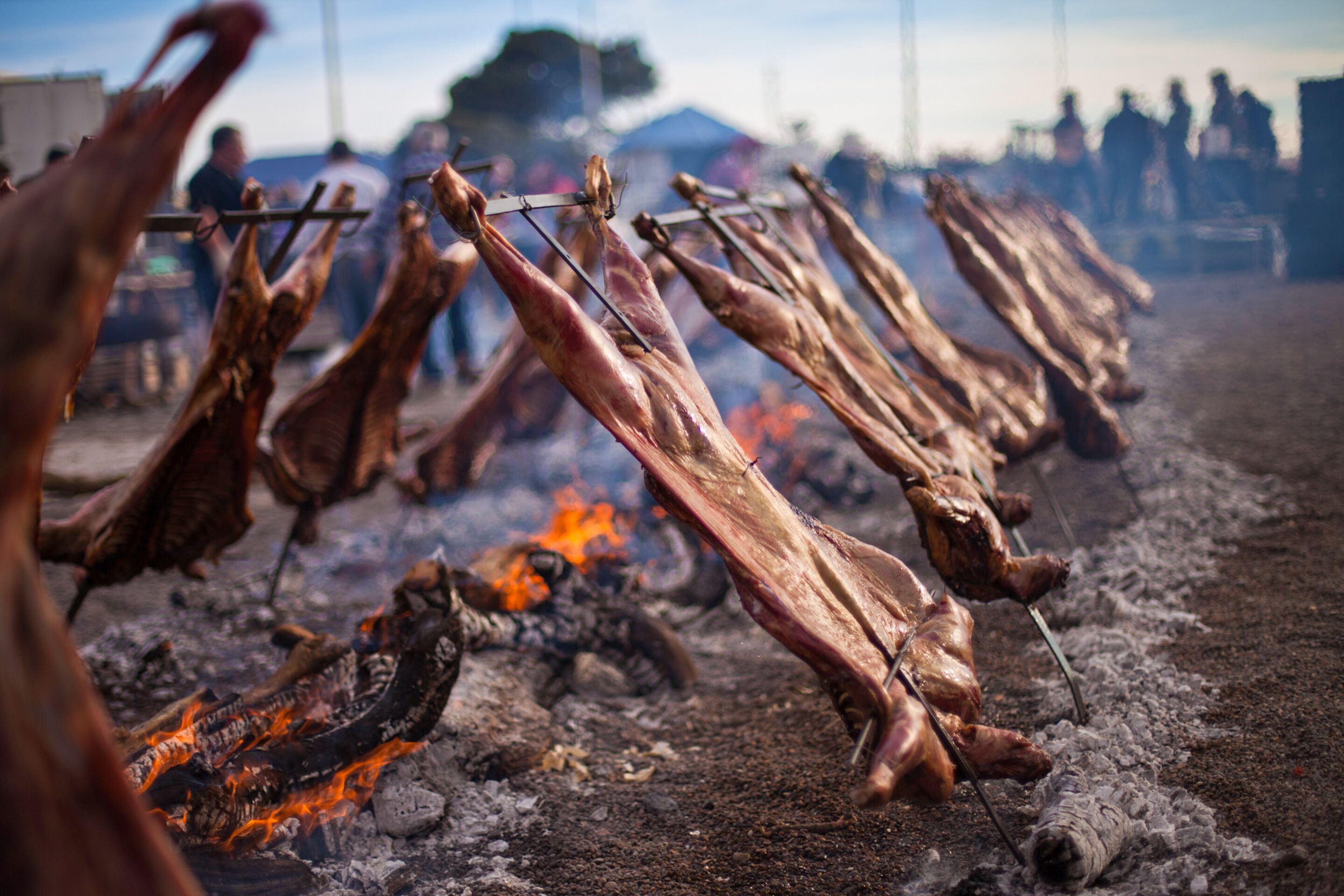 Photo - La Tosca Hostel