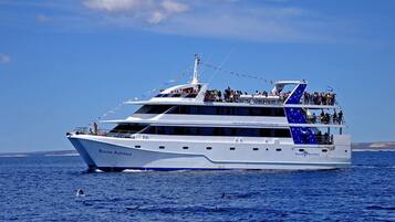 A large white yacht named 'Regina Australe' with multiple decks, passengers on the upper deck, and a clear blue sky in the background.