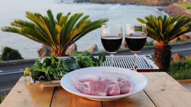 Ein Holztisch mit einem Teller rohem Fleisch, zwei Gläsern Rotwein und einem Teller mit Grünzeug, vor einer Küstenlandschaft mit Palmen und Blick auf das Meer.