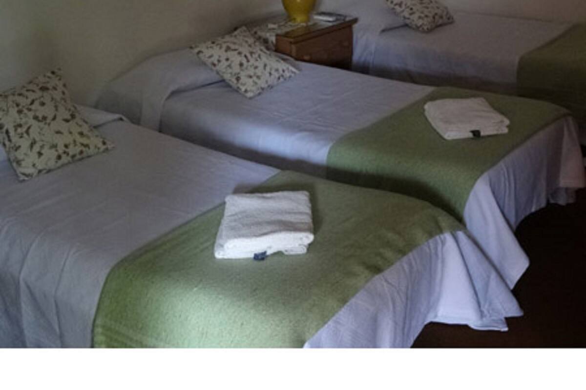 A hotel room with two single beds, each with a green bedspread and white pillows. There is a nightstand with a lamp between the beds.