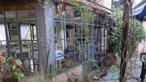A courtyard with potted plants, a glass door, and a brick floor. - Posada de la Flor (Colonia del Sacramento)