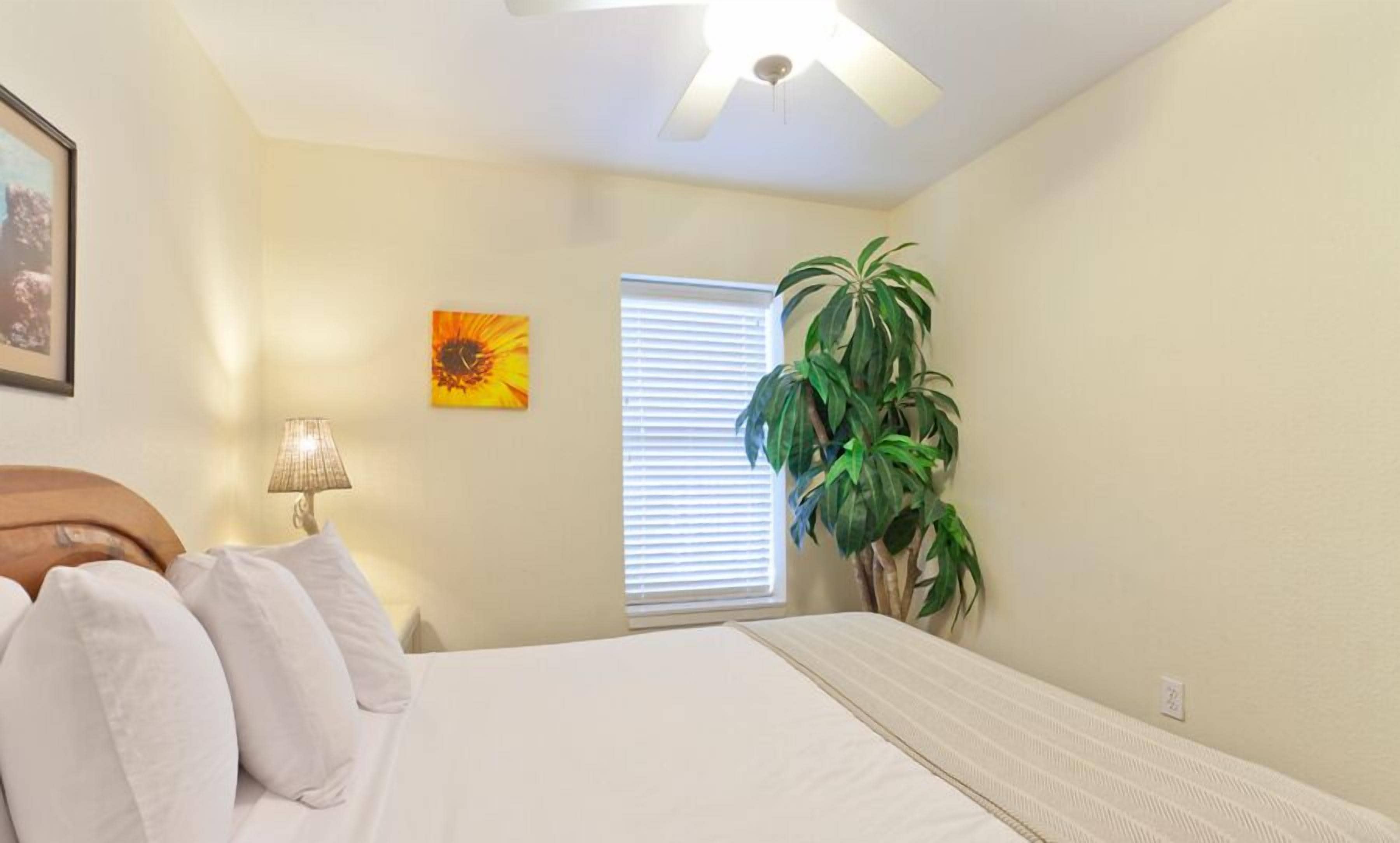 A bedroom with a bed, a bedside lamp, a window with blinds, a potted plant, and a ceiling fan.