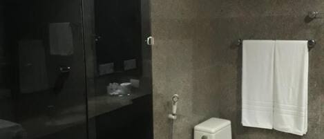 Et moderne badeværelse med en glasvæg omkring bruseren, et toilet og en håndklædestang.