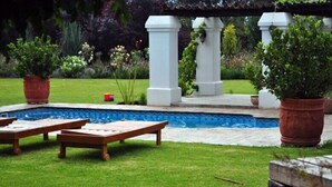 A pool area with a wooden deck and lounge chairs, surrounded by a garden with potted plants and a pergola structure.