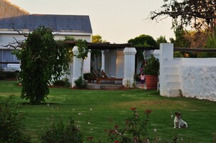 Zona de parrillas o pícnic