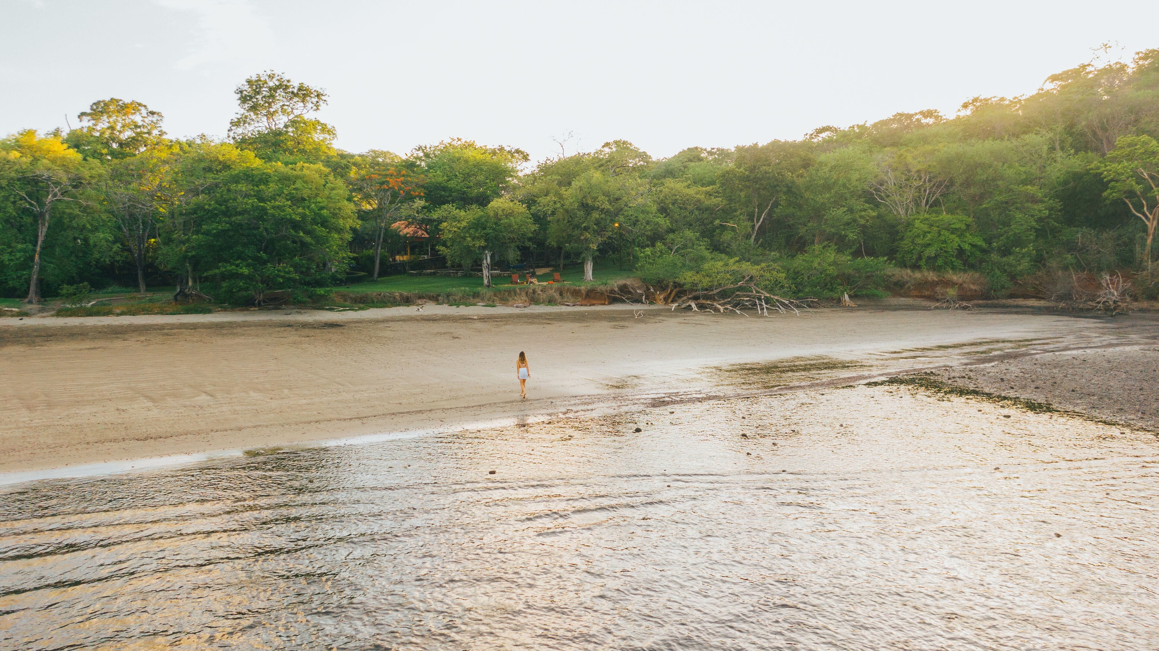 Una playa con una persona caminando sobre la arena, rodeada de árboles y una zona boscosa.