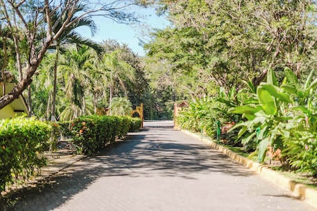 Eingangsbereich. Papagayo Golden Palms Beachfront Hotel
