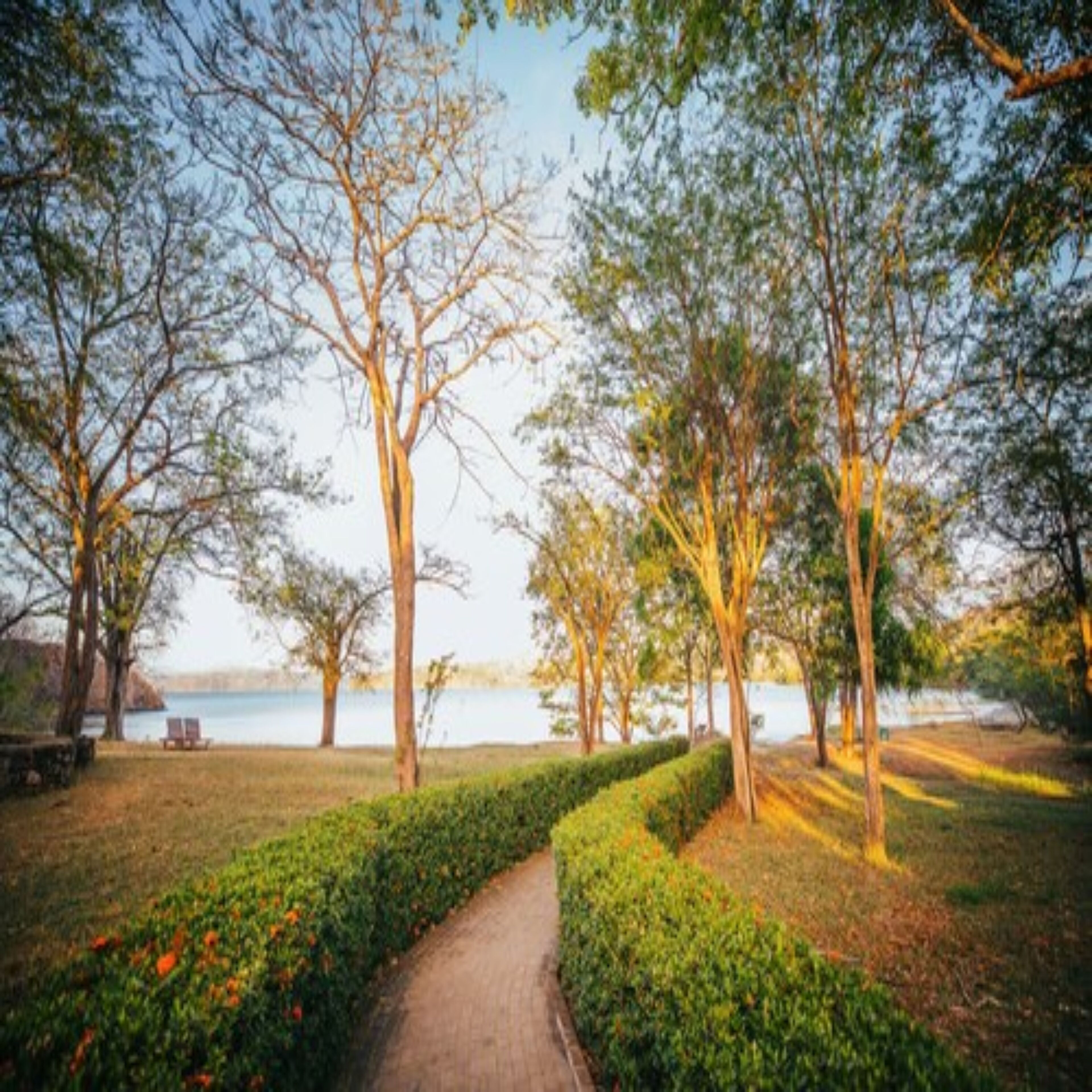 on the beach, sun-loungers, beach towels, beach massages