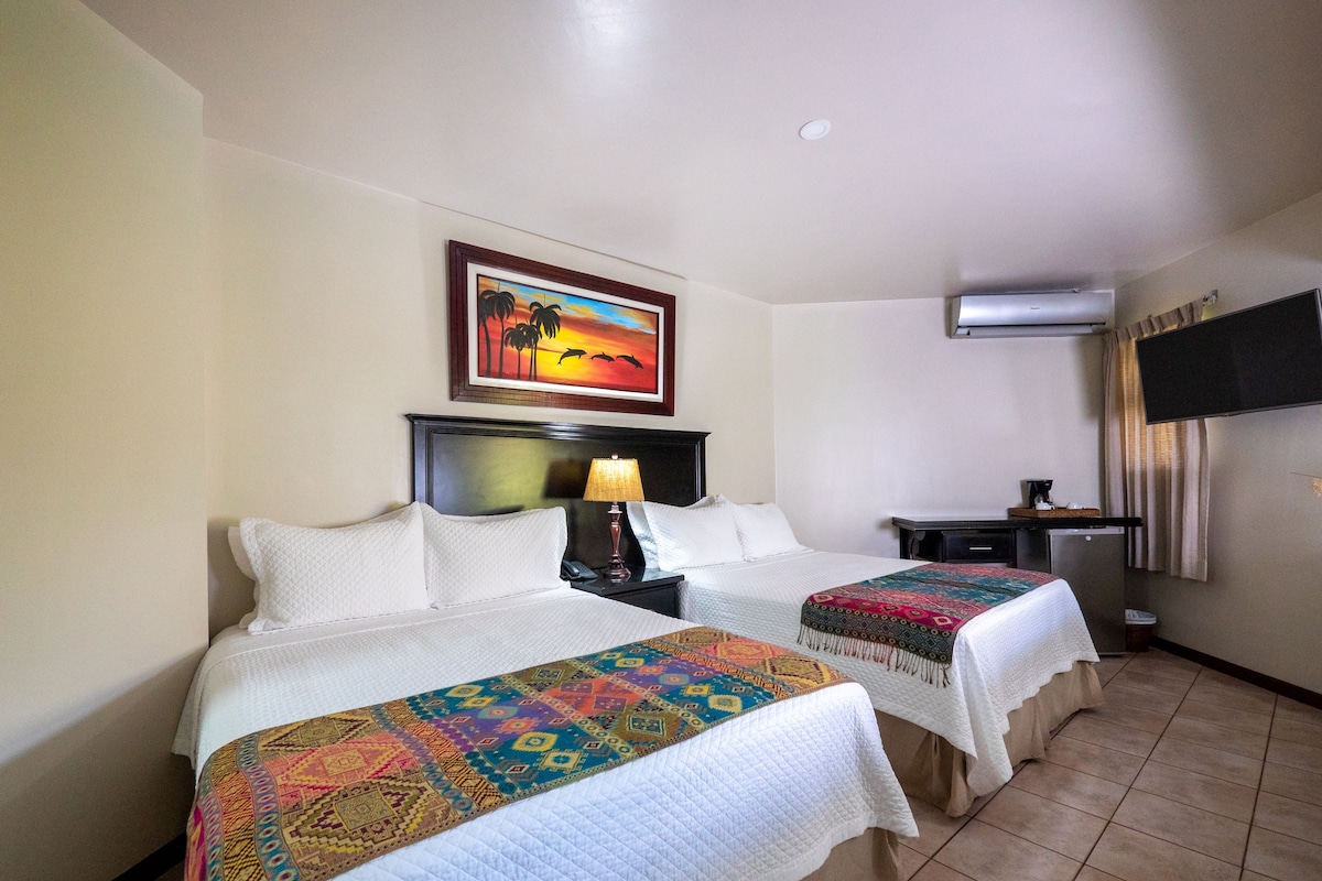 Una habitación de hotel con dos camas, un cuadro, un televisor y un equipo de aire acondicionado.