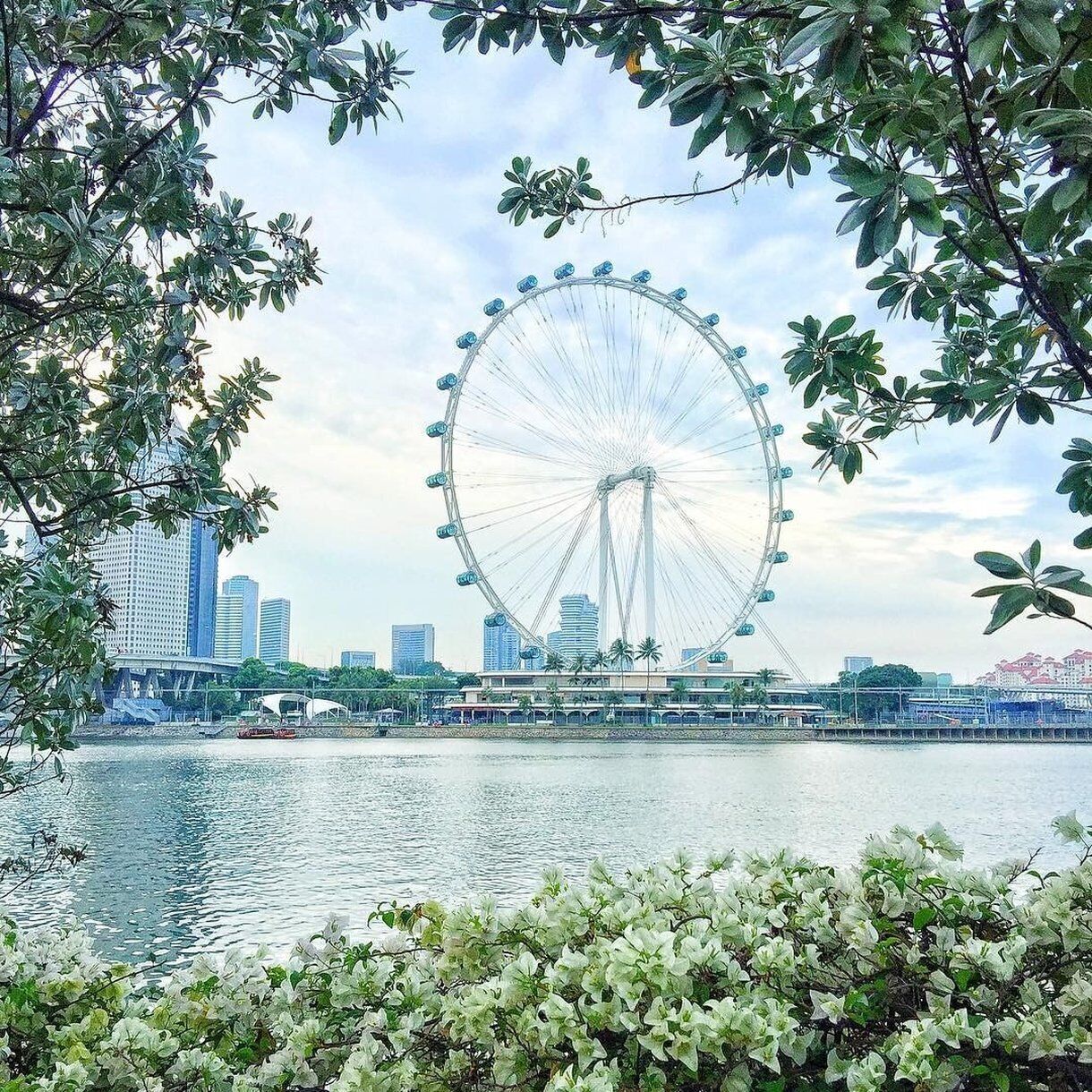 A large Ferris wheel with a water body in the foreground and a city skyline in the background.
