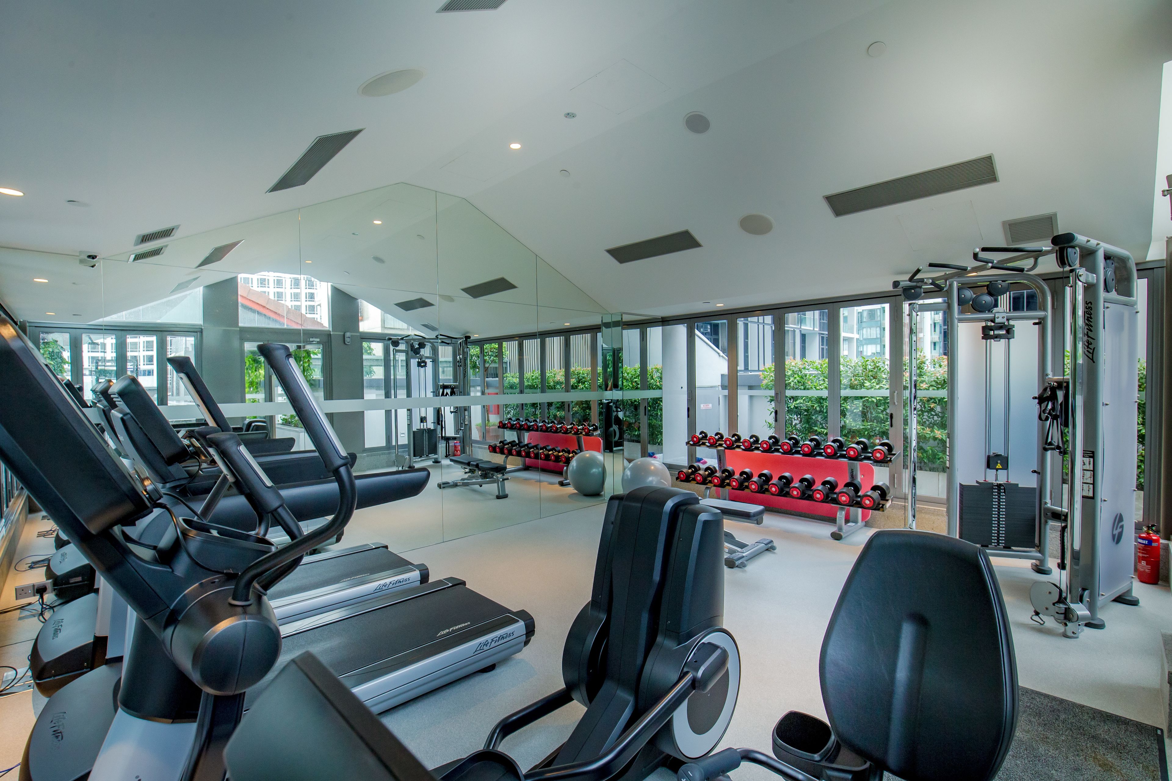 Un gimnasio moderno con cintas de correr, máquinas de pesas y pesas libres.