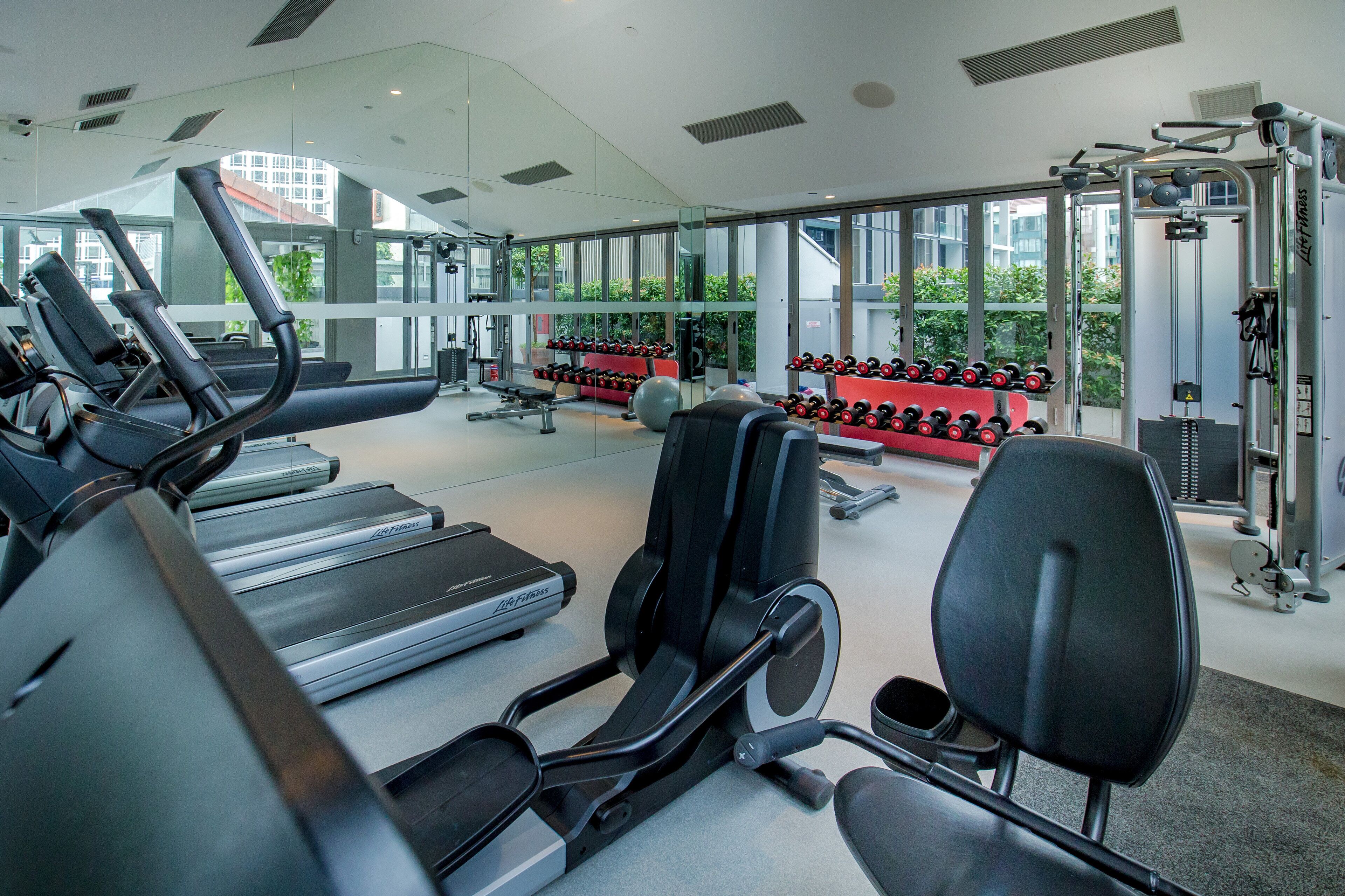 Un gimnasio con cintas de correr, bancos de pesas y mancuernas.