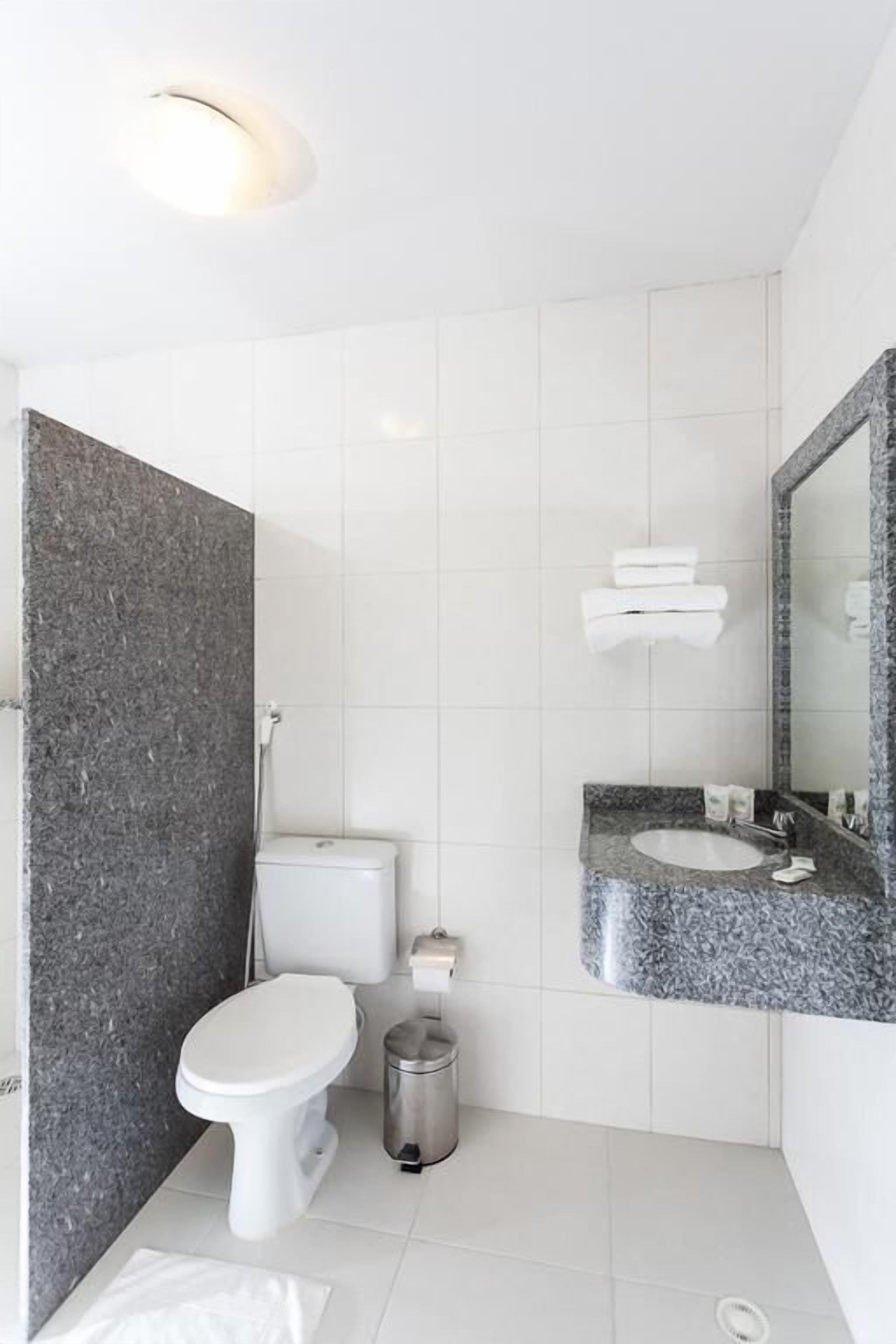 premium room | bathroom | shower, free toiletries, hair dryer, towels