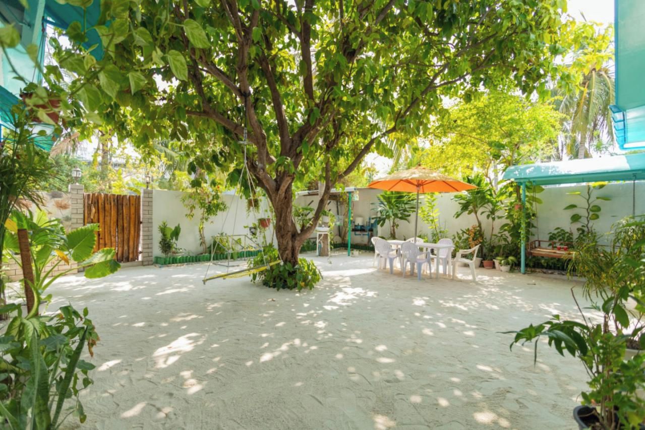 Un patio al aire libre con una mesa y sillas, rodeado de plantas en macetas y un árbol grande.