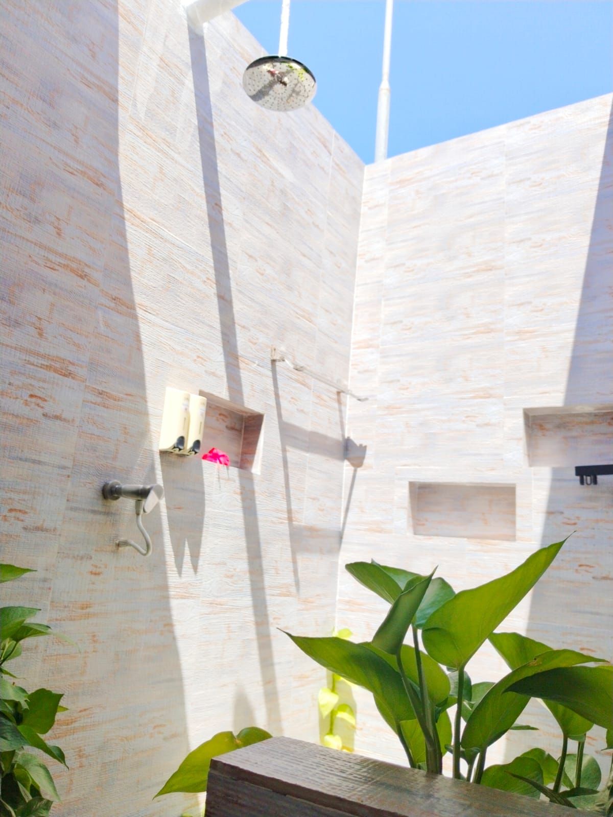 A modern bathroom with a shower, a small shelf, and a potted plant.