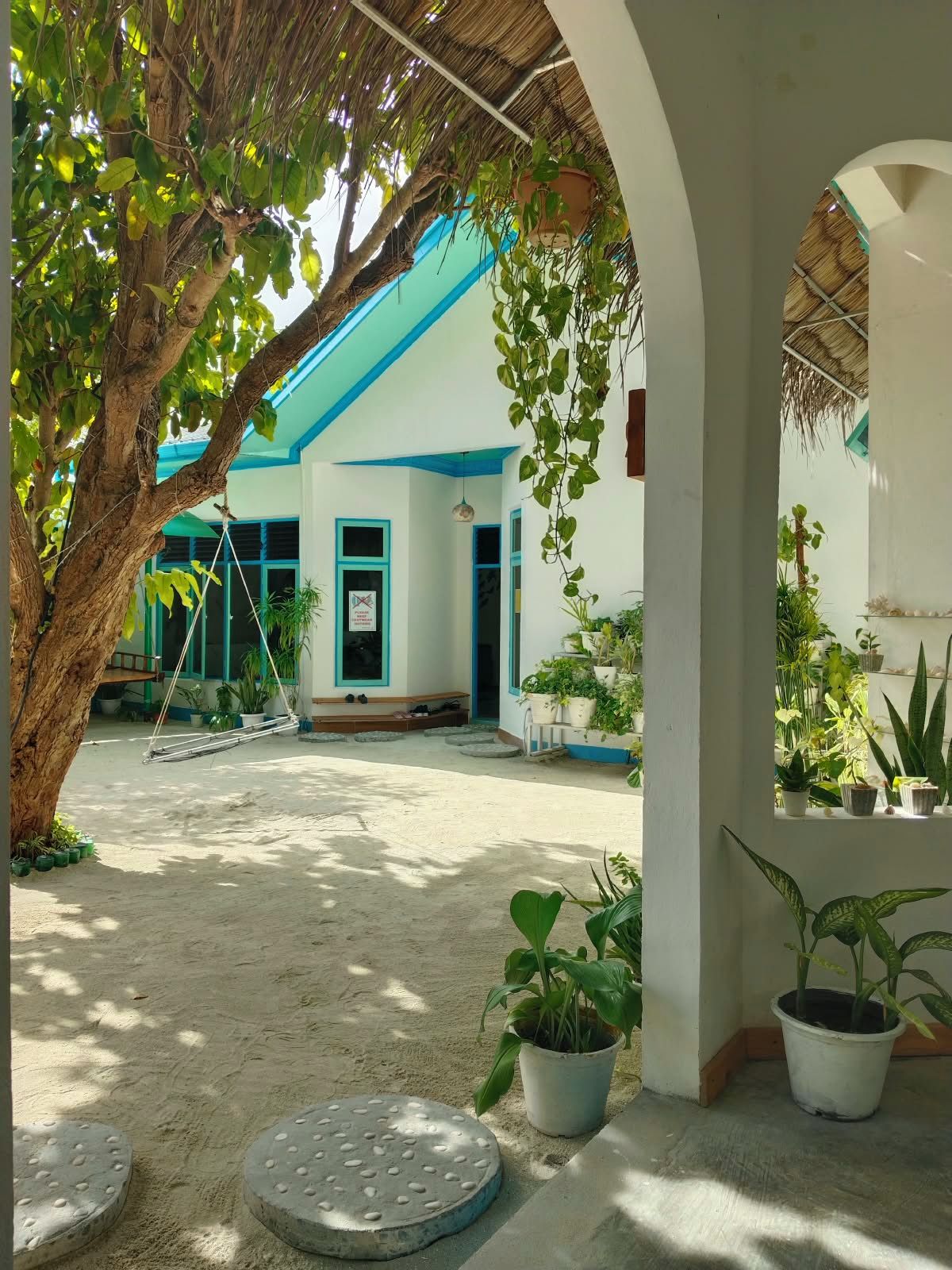 A covered outdoor area with a tree, potted plants, and a hammock.