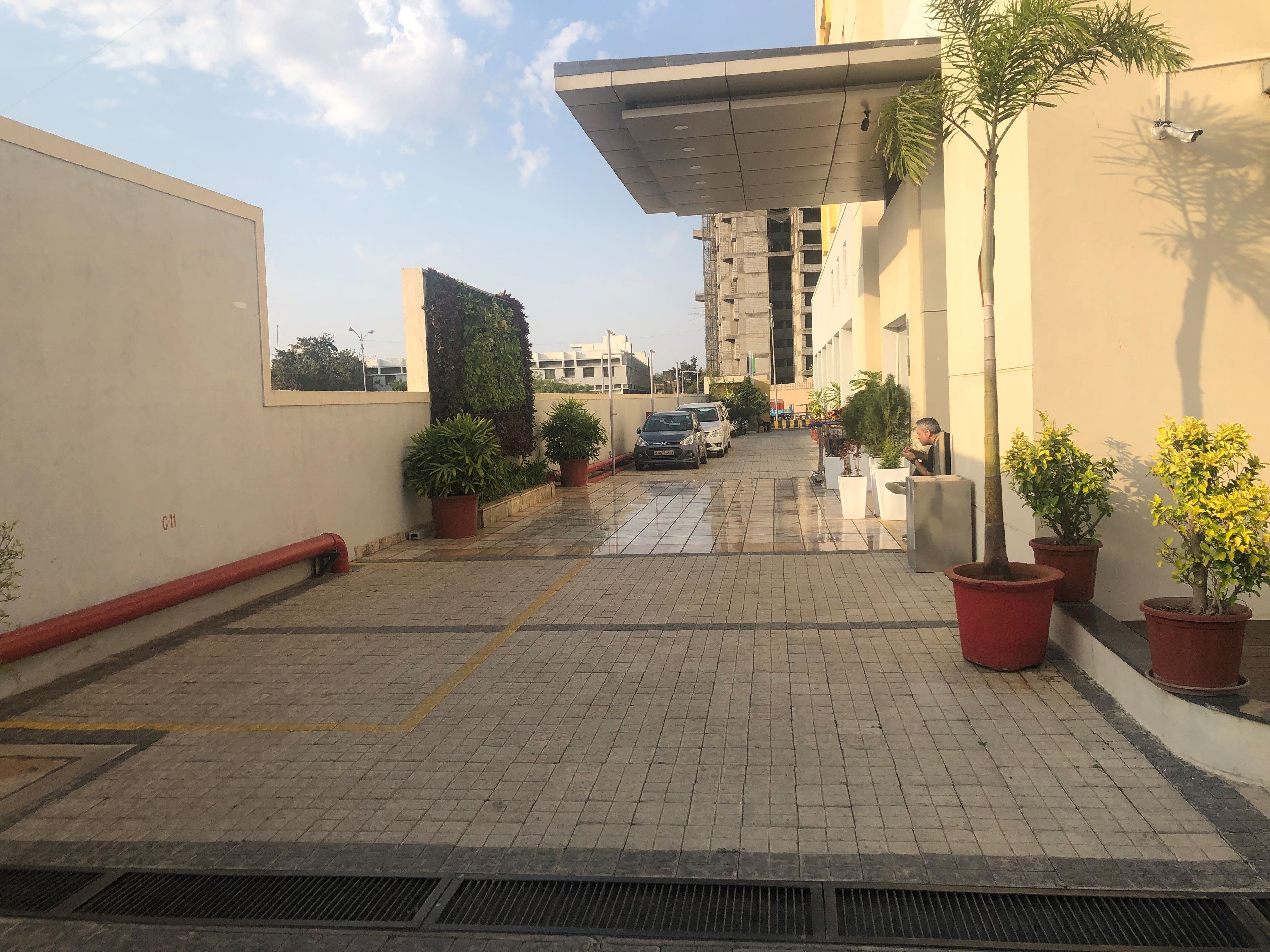 A paved walkway with potted plants, a car, and a building in the background.