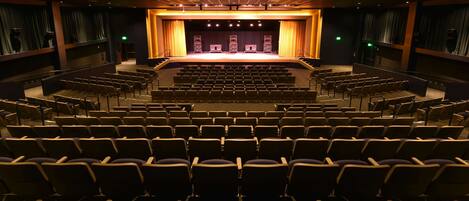 Un teatro con hileras de asientos, un escenario con cortinas y un techo con diseño de cuadrícula.