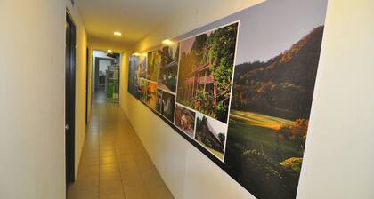 SPOT ON 89886 Backpacker's Stay Services