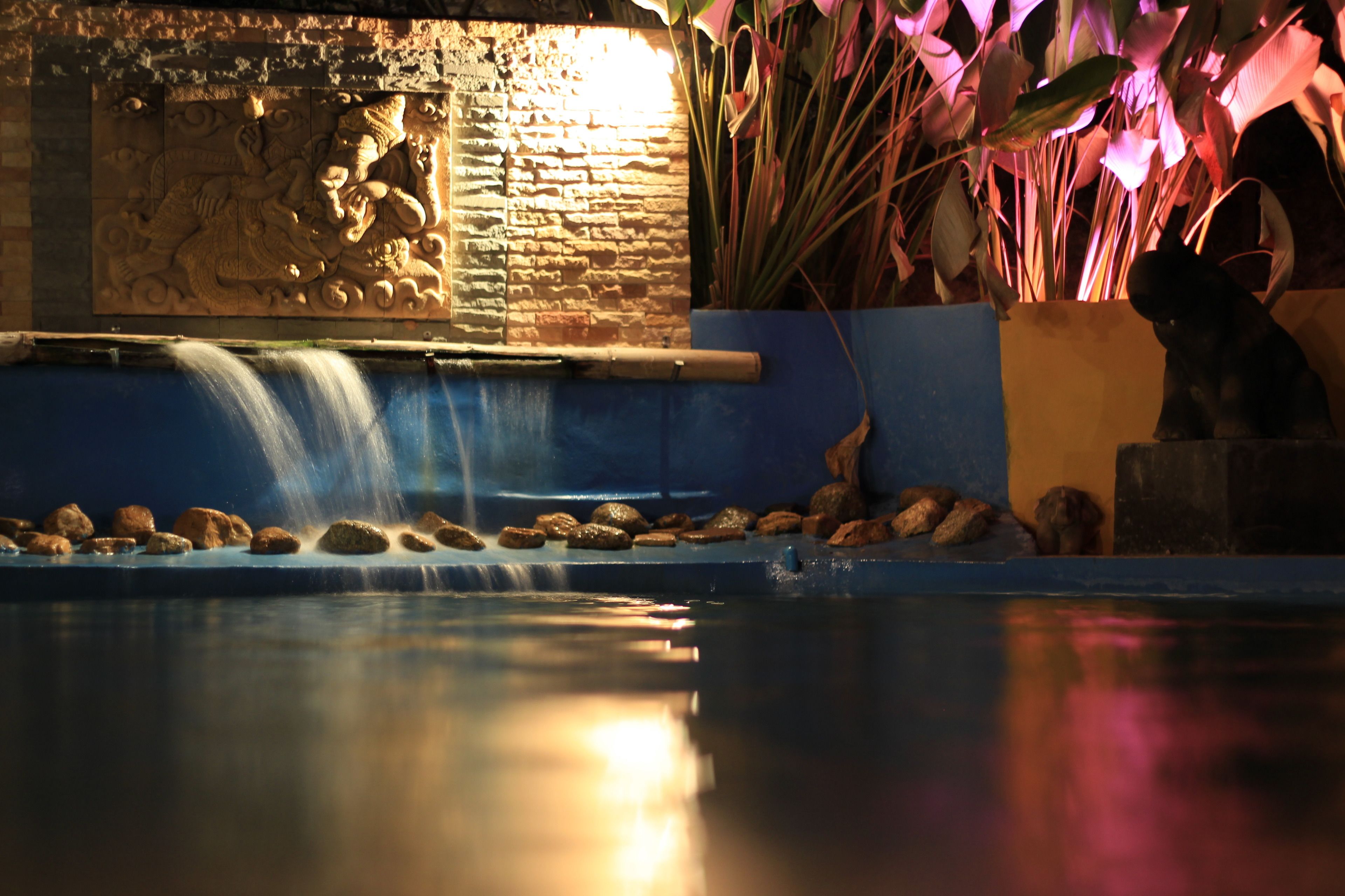 Outdoor pool, pool loungers