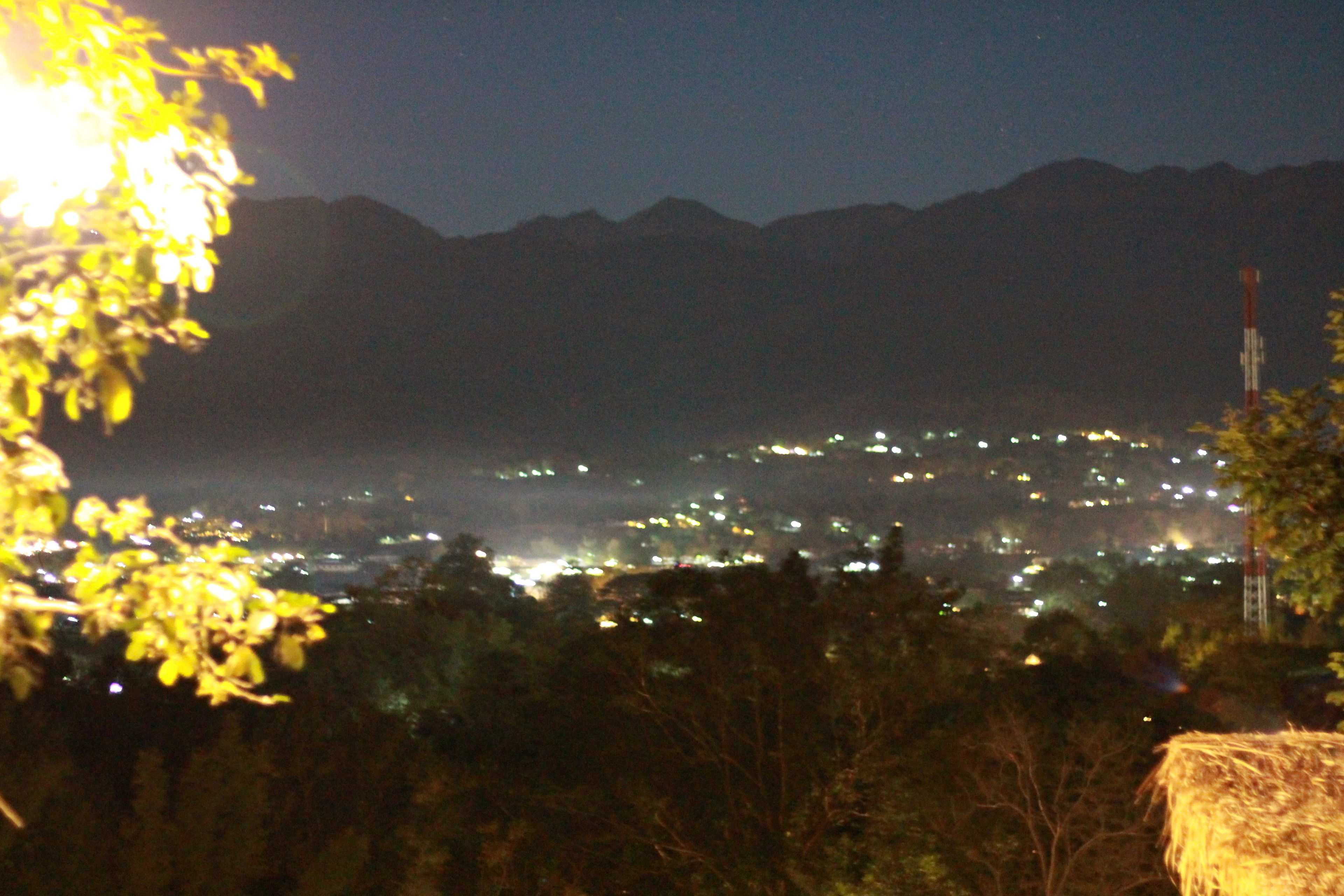 A nighttime view of a city with lights, mountains in the background, and a tree in the foreground.