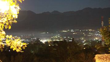 Vista nocturna d'una ciutat amb llums, muntanyes al fons i un arbre en primer pla.