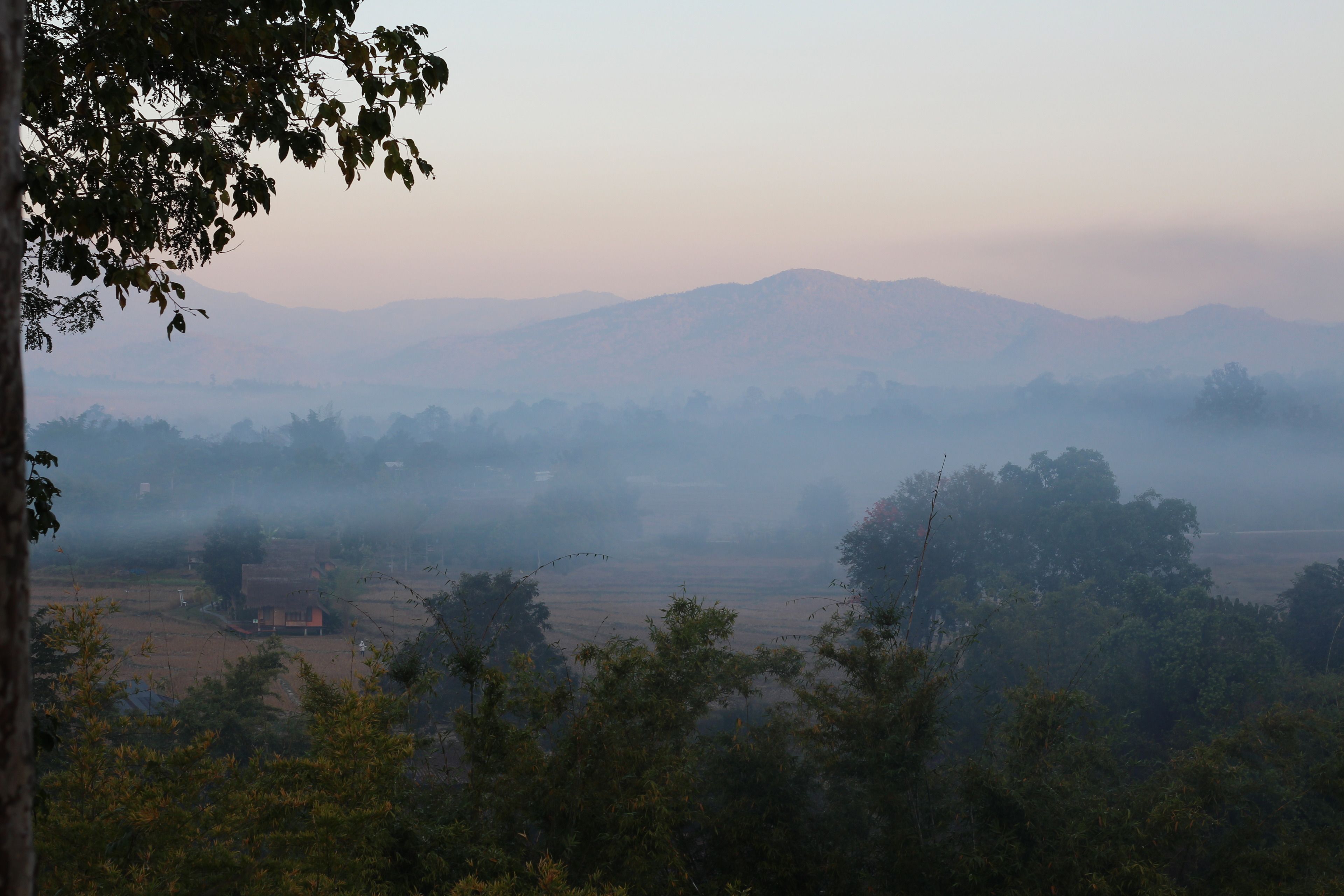 A rural landscape with a misty atmosphere, featuring rolling hills, scattered trees, and a small building in the foreground.