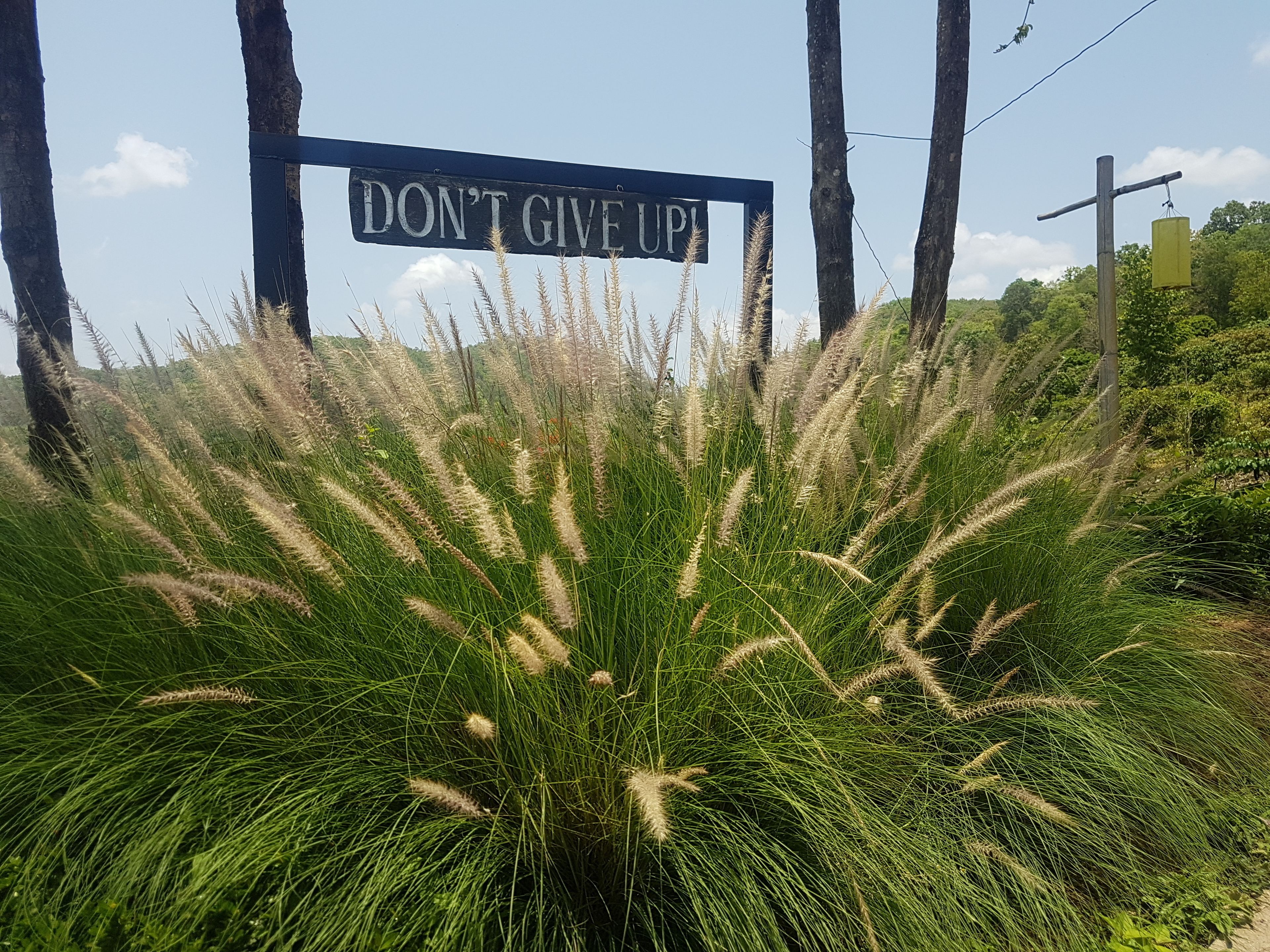 Vista desde la propiedad