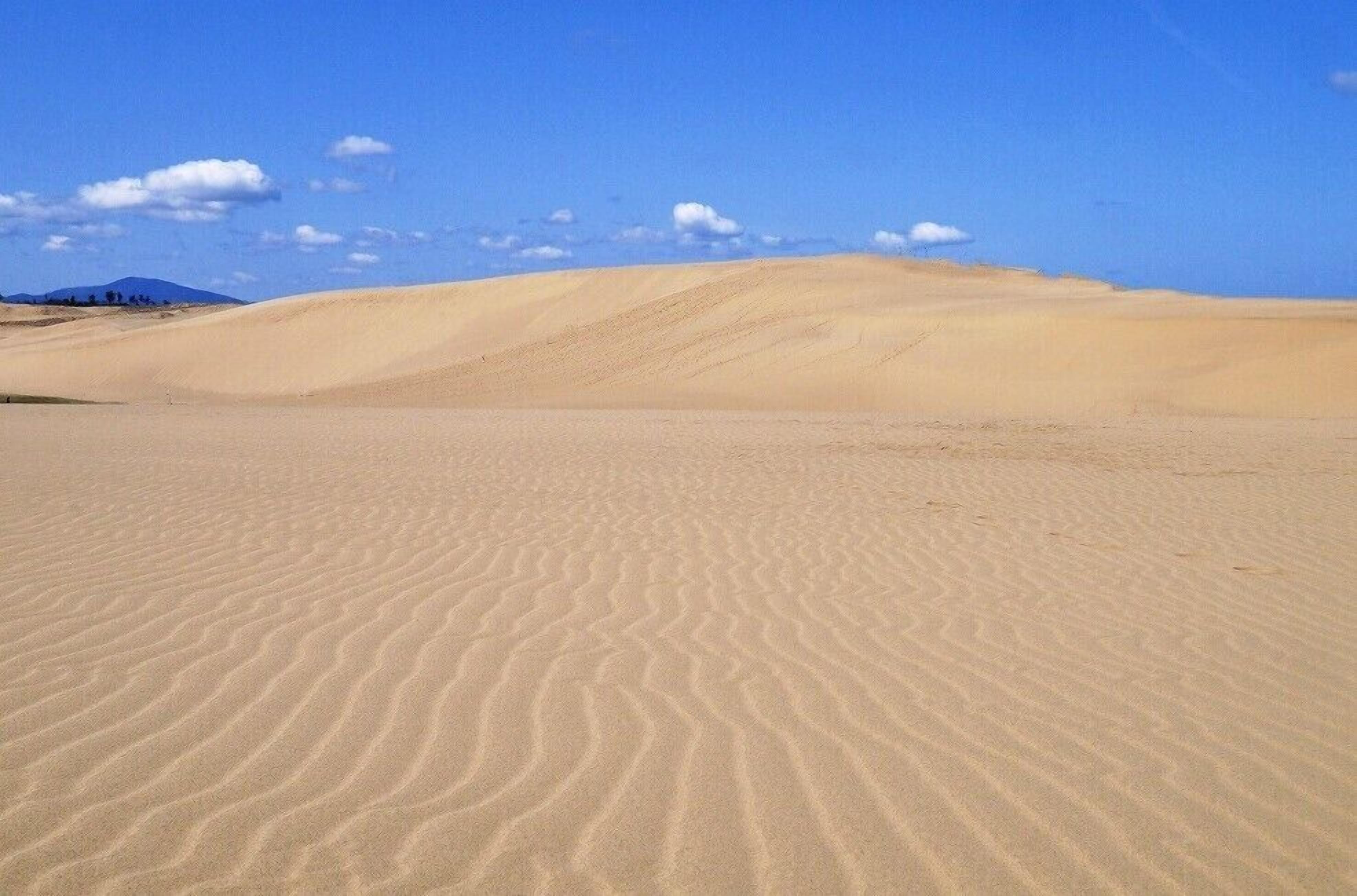 Weite Wüstenlandschaft mit wellenartigen Sanddünen unter blauem Himmel.