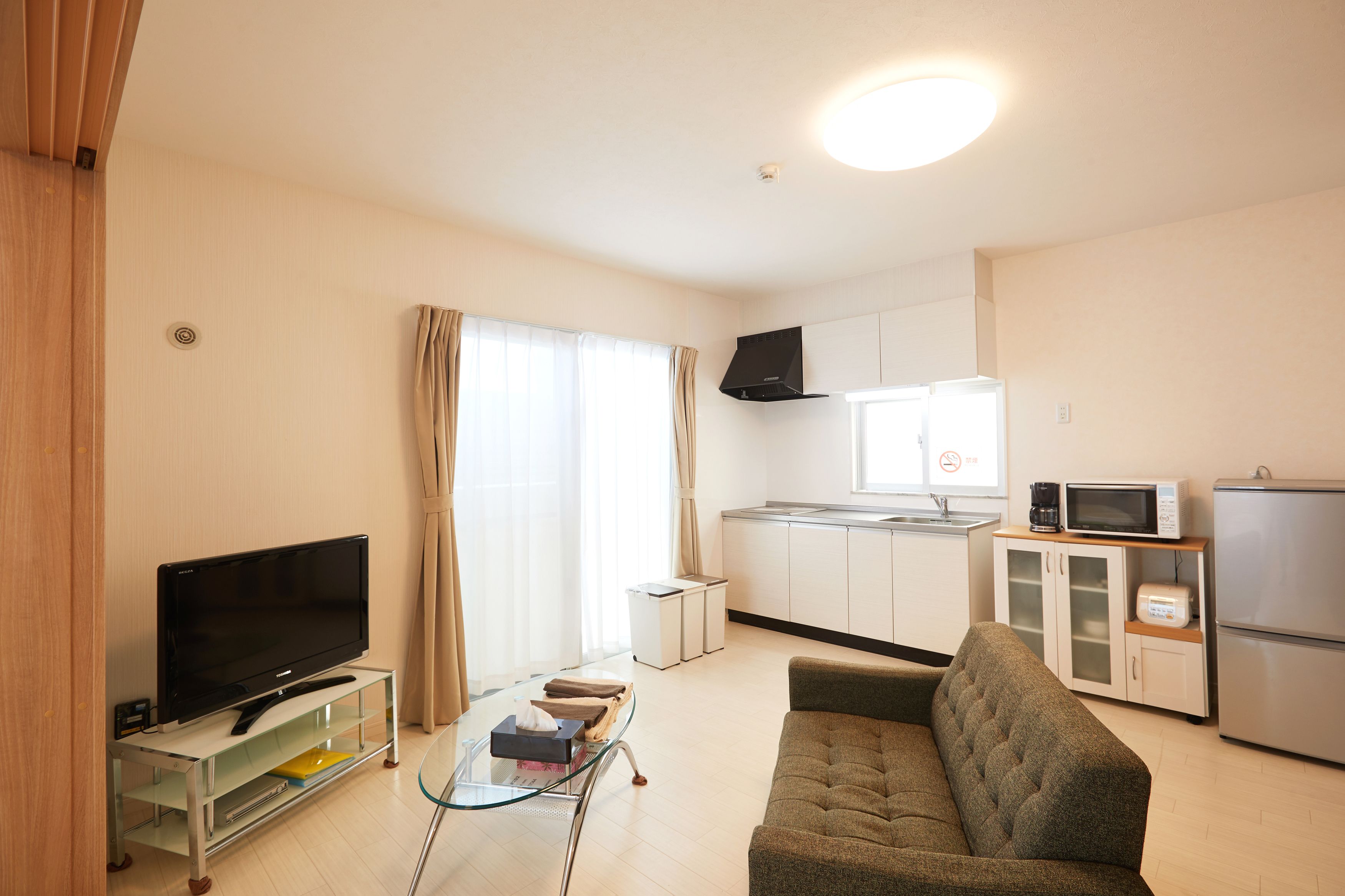 Standard Twin Room, Non Smoking | Living room | Flat-screen TV, DVD player