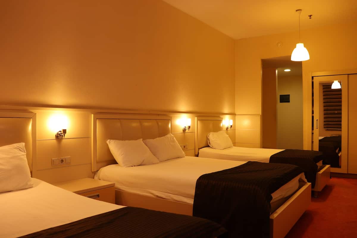 Minibar, soundproofing, cribs (free), WiFi (free)