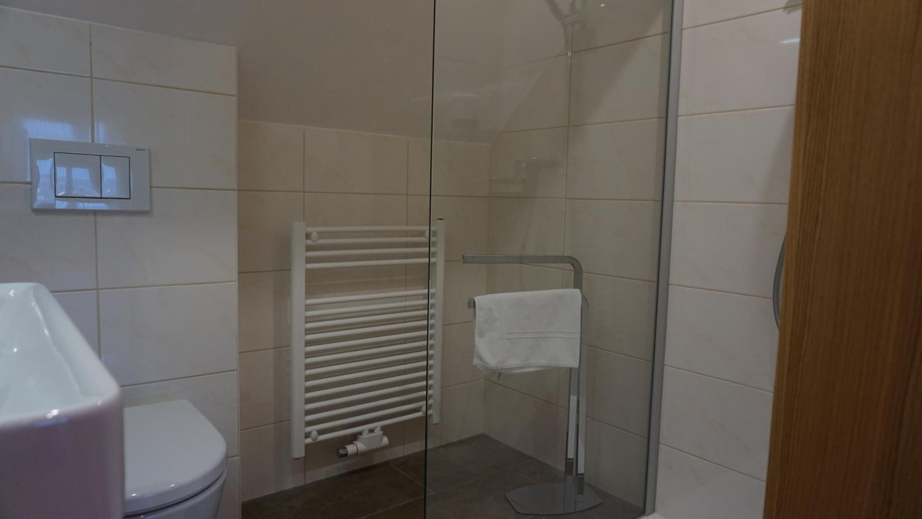 Ein Badezimmer mit Toilette, einer Duschkabine aus Glas, einem weißen Handtuch auf einem Wäscheständer und einer weißen Heizung.