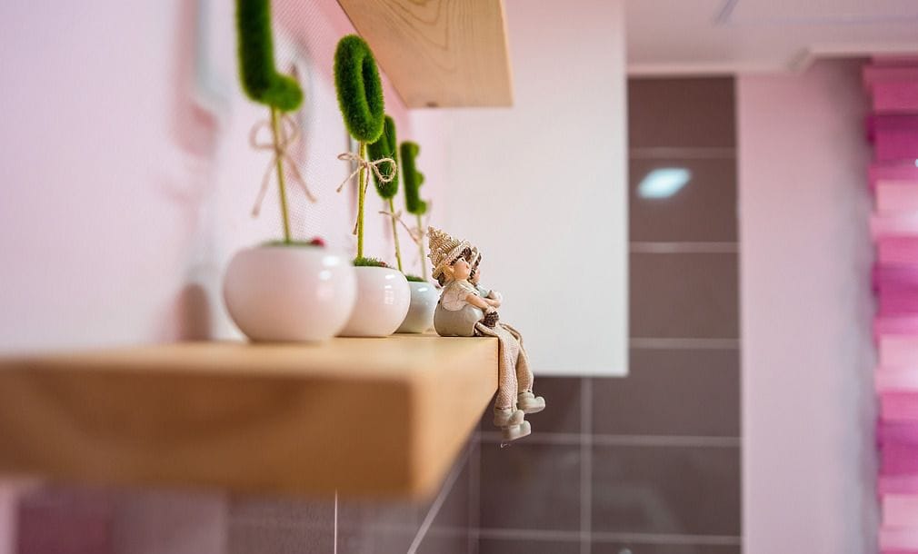 A shelf with potted plants and a figurine.