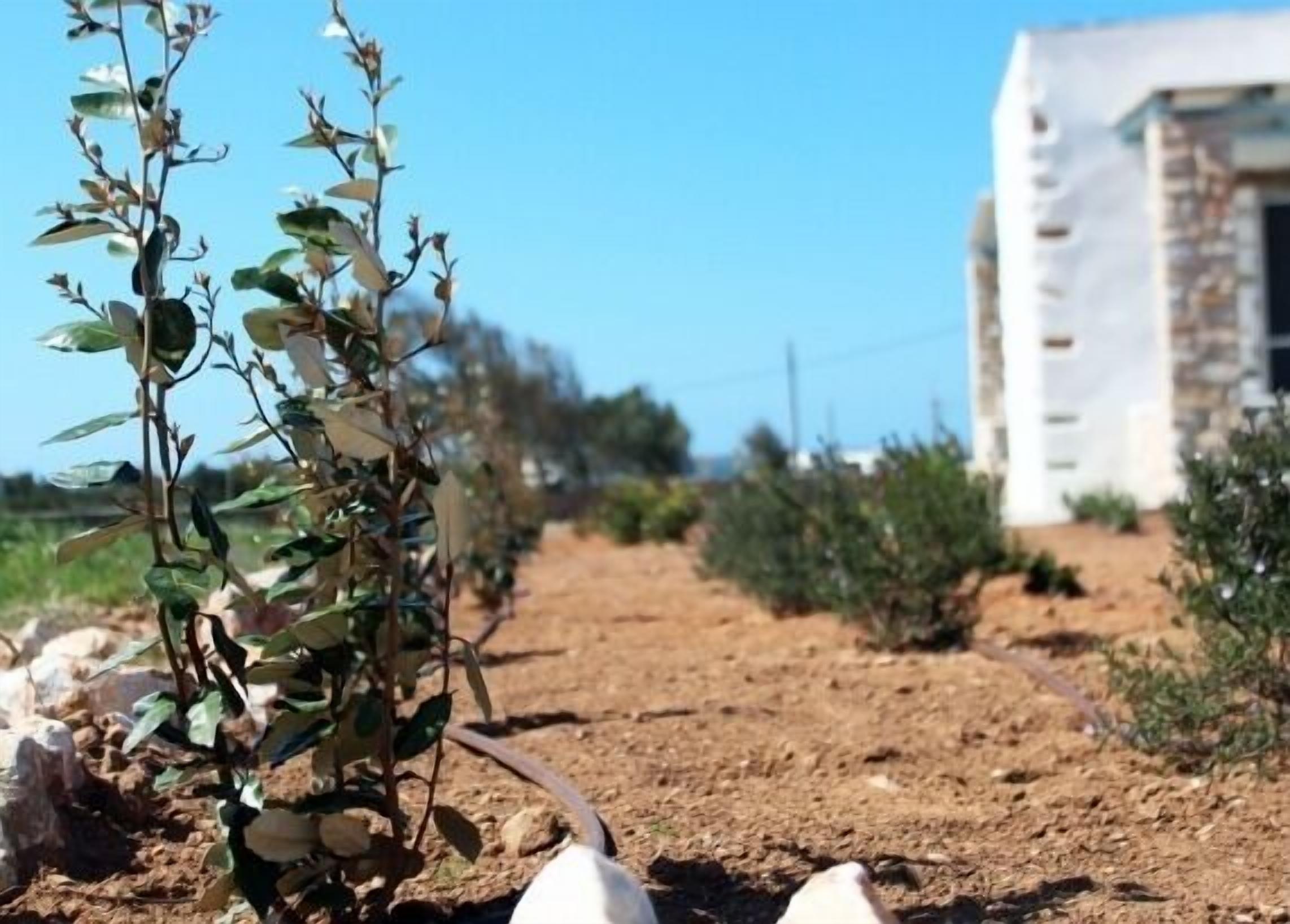 Un sendero de tierra que lleva a un edificio blanco de fachada de piedra.
