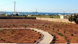 A rural landscape with terraced fields, a stone pathway, and distant buildings. - Nakos Homes (Paros)