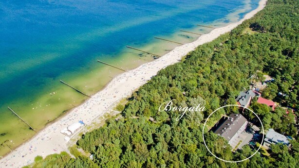 Vista aérea de una playa con aguas cristalinas, una orilla arenosa y abundante vegetación.
