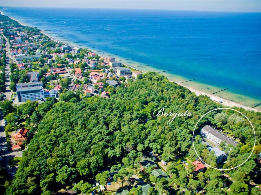 Une vue aérienne d’une ville côtière, avec de vastes zones verdoyantes, une plage et une zone délimitée par un cercle, indiquant un lieu précis.