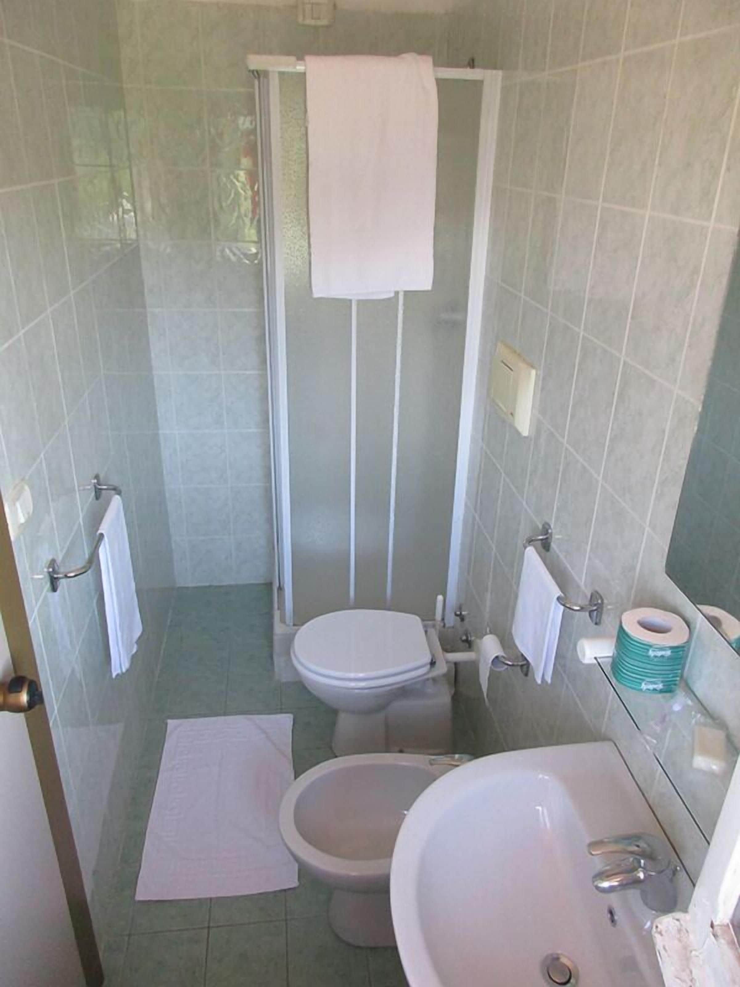 Shower, free toiletries, hair dryer, bidet
