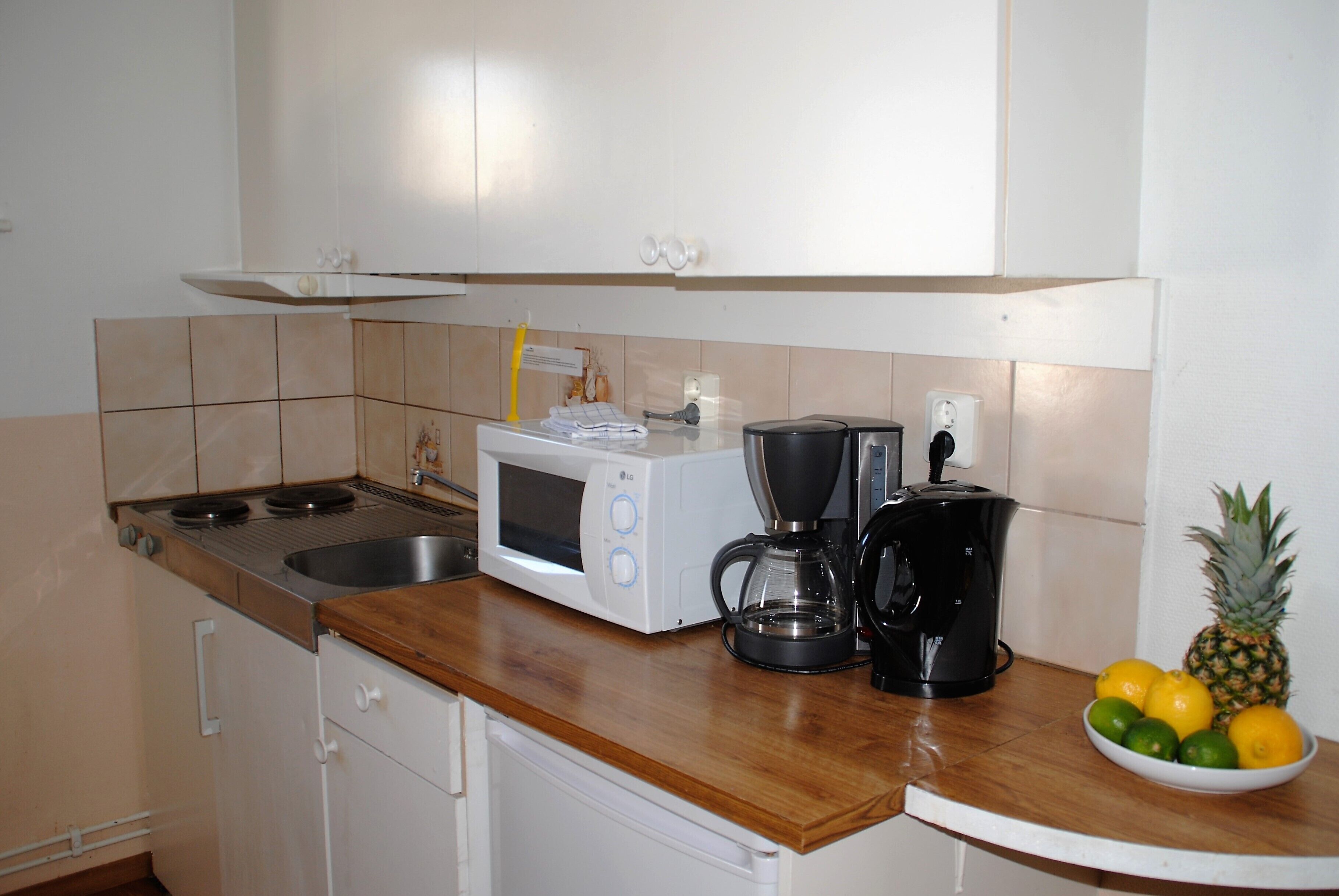 basic apartment | private kitchen | fridge