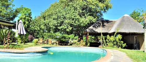 Outdoor pool, sun loungers